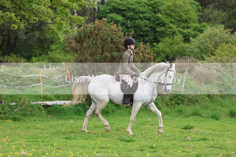 3E7A2075 - Class 11: Ridden Arab