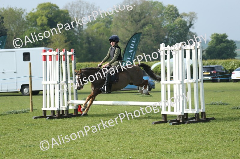 20260426-0048 - Class 13 - Rookie Jumping 50cm
