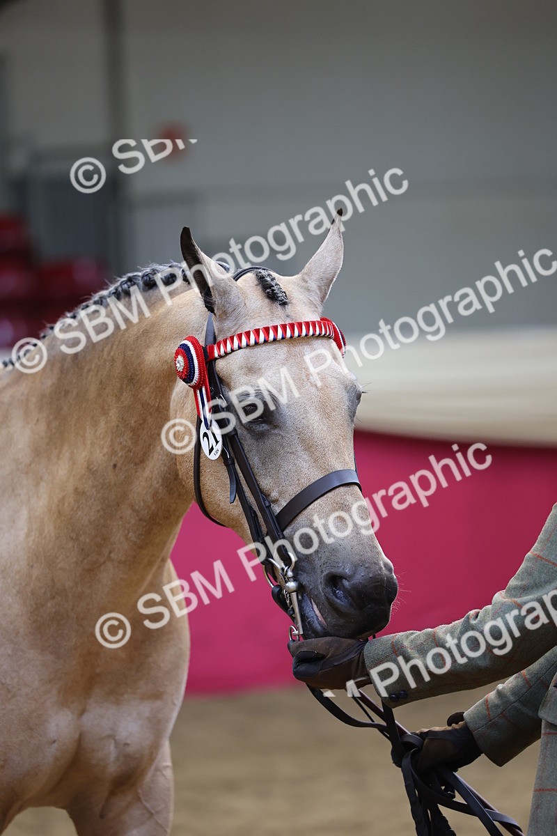 SBM_23238 - Supreme Final - IH Champion