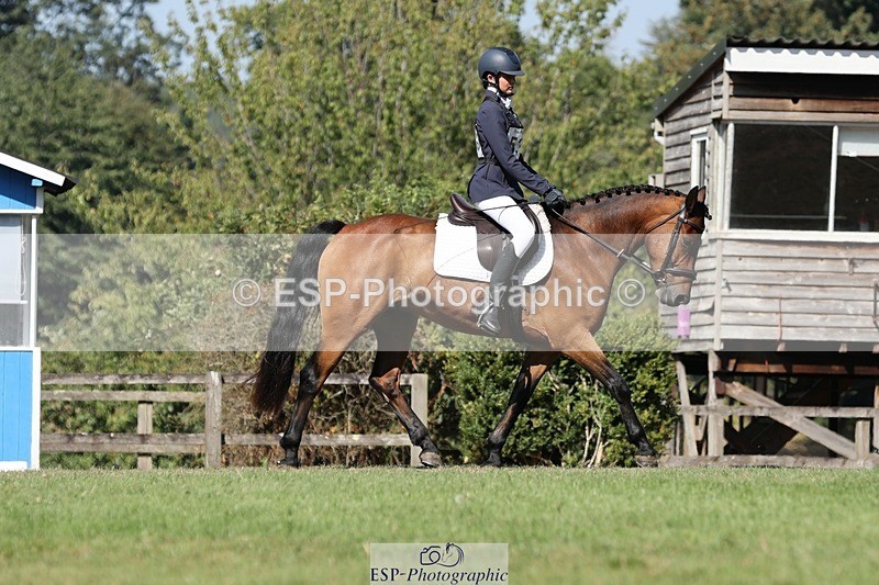 250823A-105136-27809 - Arena D