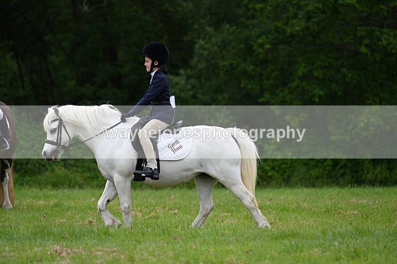 WJ7_4482 - Class 14B Prettiest Mare