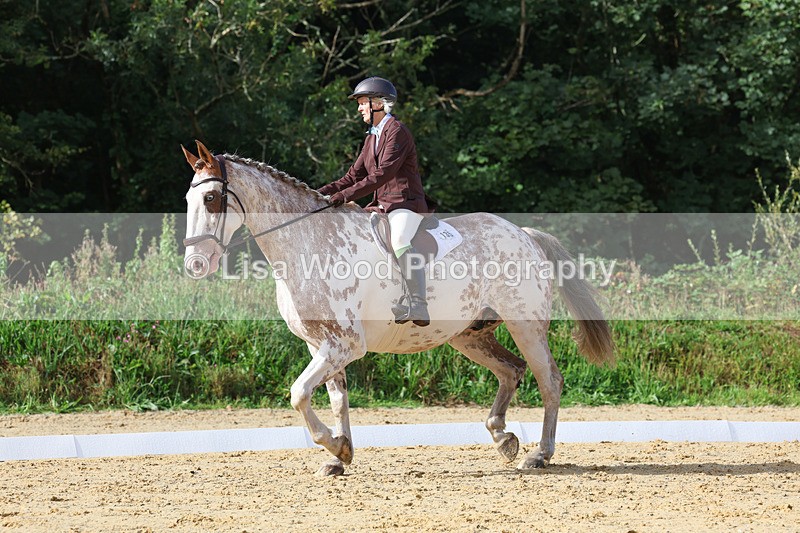 3E7A2401 - Class 1: Intro 4 2024 section A