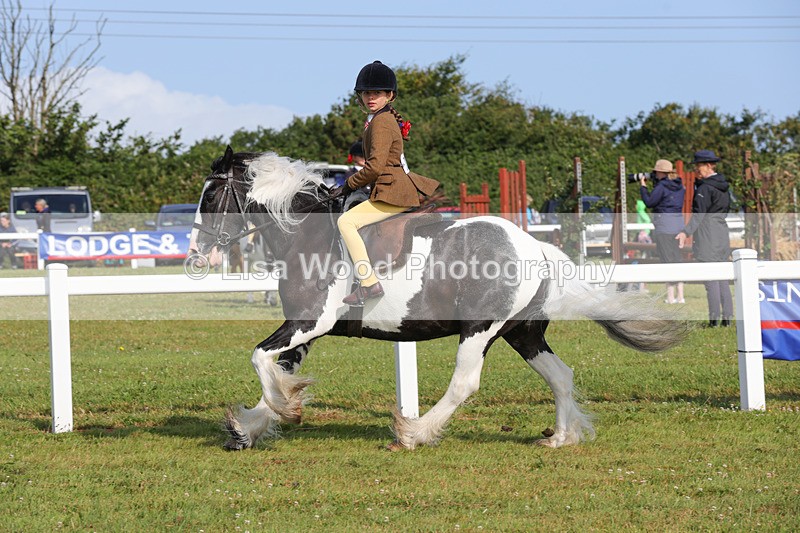 1X9A3279 - Class 28: Ridden Native/Trad Coloured Pony