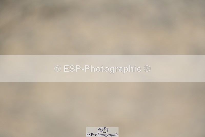 230813-112637-06602 - Cls 12 Elem Silver 10.35 to End