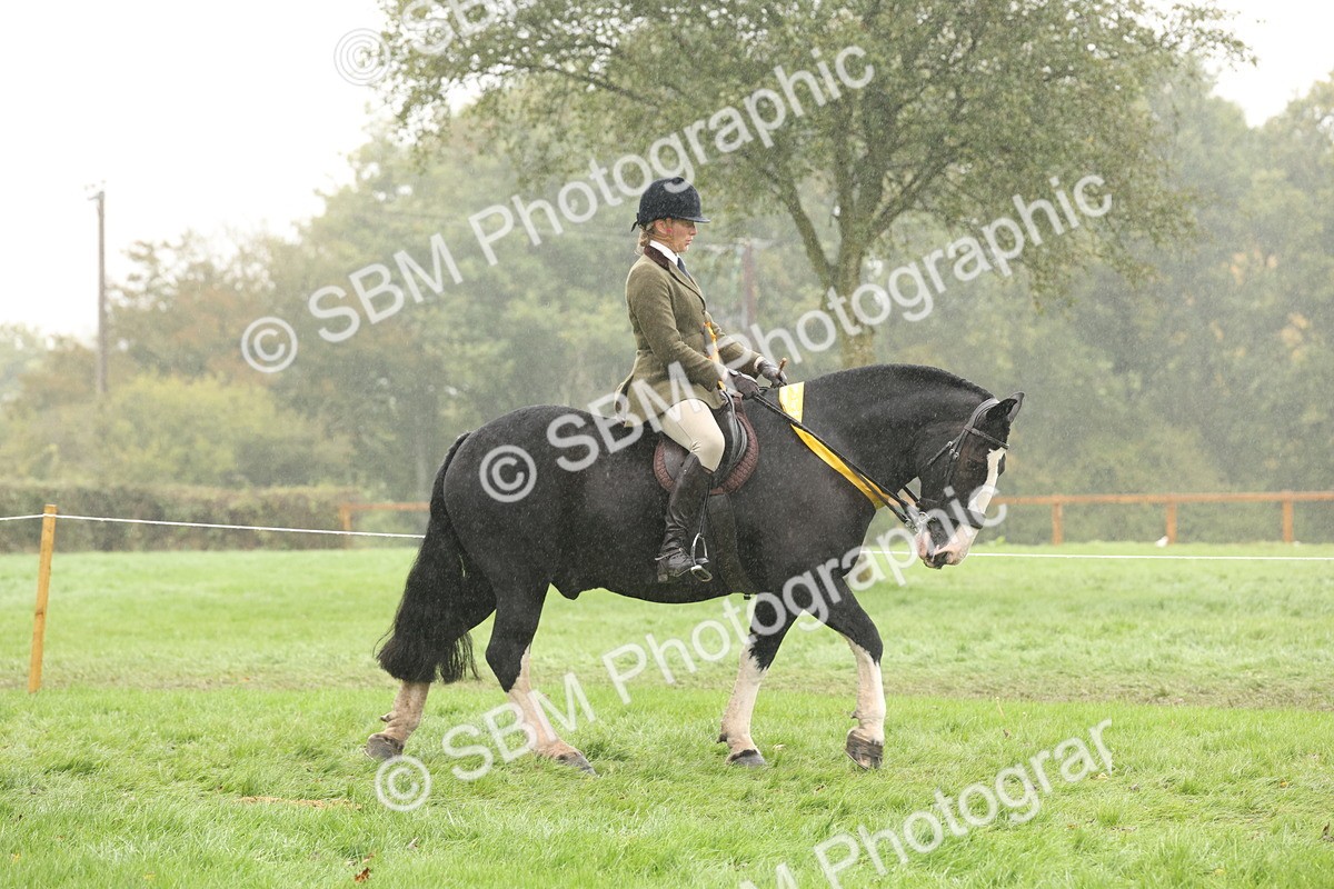 SBM_72881 - Ridden Horse Supreme Championship