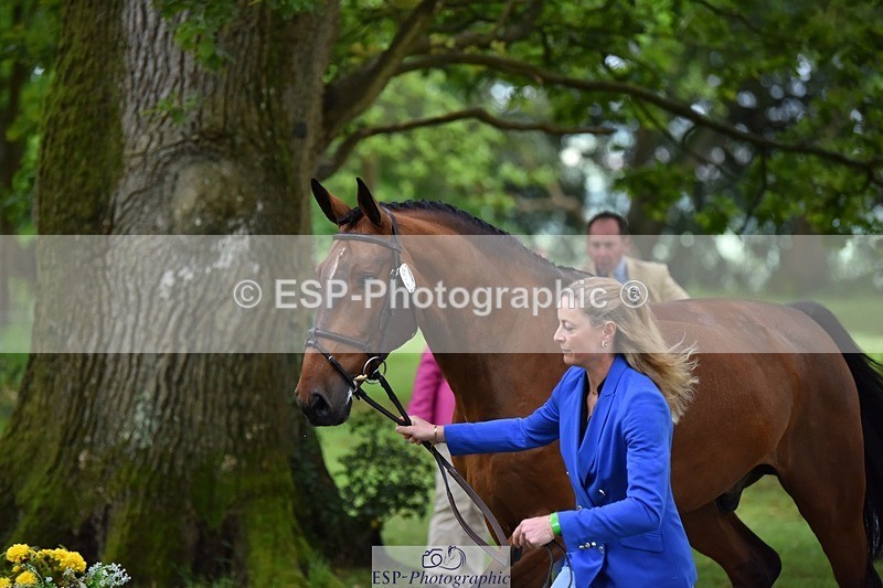 240522-172306-01565 - 278-DSH_MR_D-Caroline_Harris