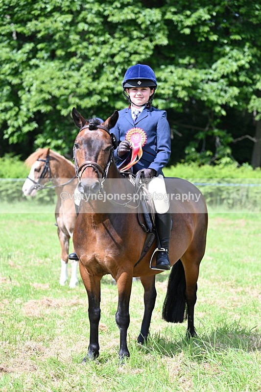 WJ7_0884 - Class 8 First Rally Pony