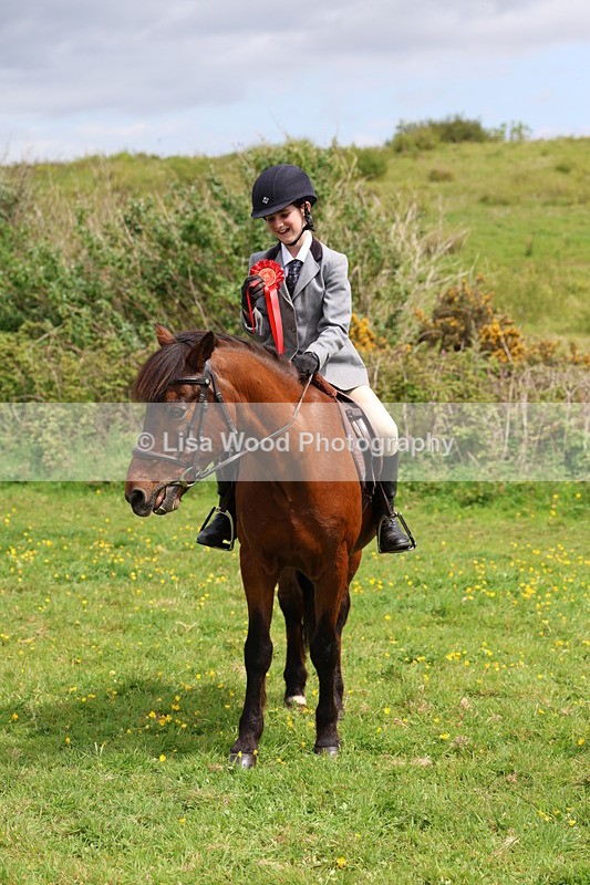 3E7A1596 - Class 8: Ridden Veteran Junoir and Senior