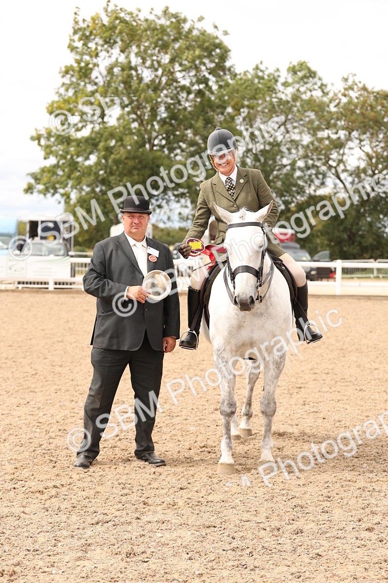 SBM_16525 - Class 212 - Ridden Hunter - Small