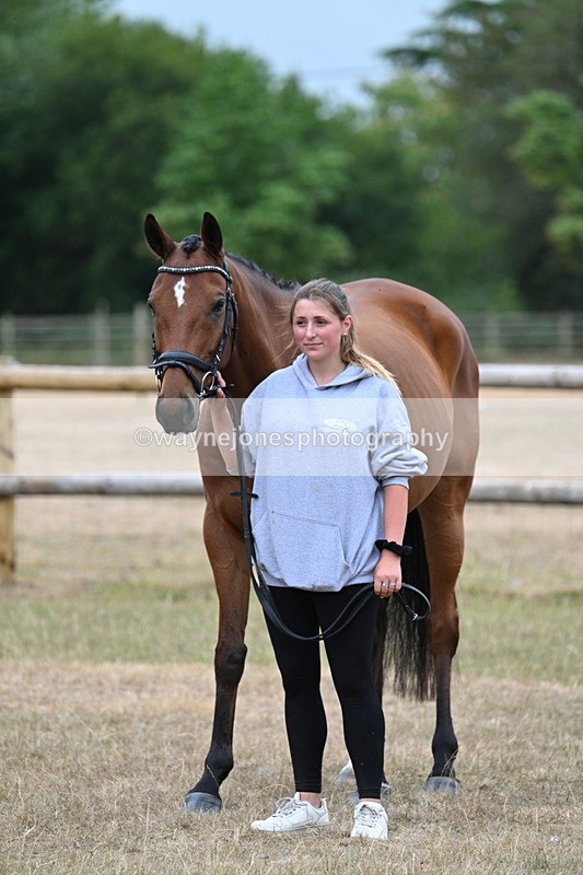 WJ7_9863 - Class 5a Most Handsome Gelding (above 14.2hh)