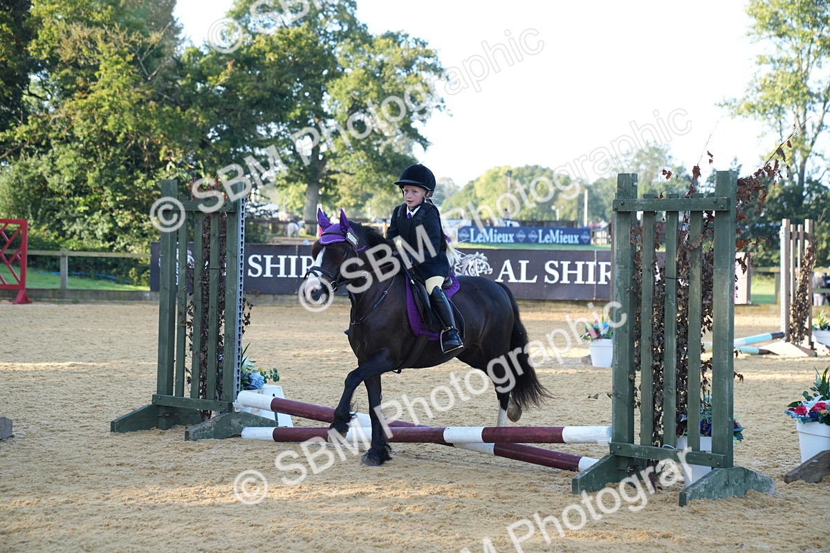 SBM_58983 - J63 - Minis Clear Round 30cm 40cm