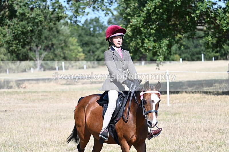 WJ7_4081 - Class 9 Mountain & Moorland Ridden