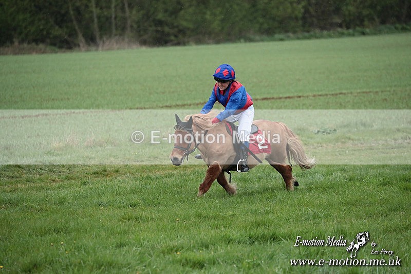 SHETPR 210425 99 - Shetland Ponies Paxford Races 21/04/25