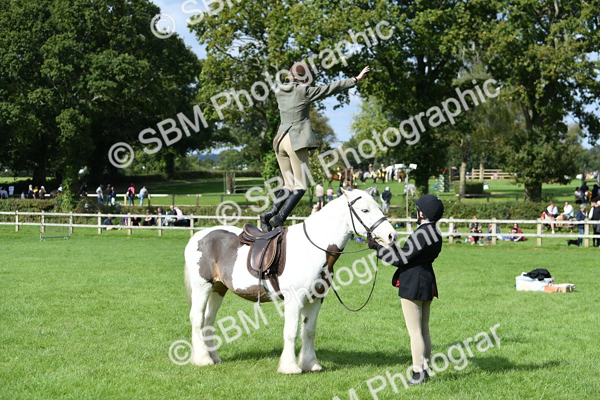 SBM_47039 - S12 - Family Horse & Pony