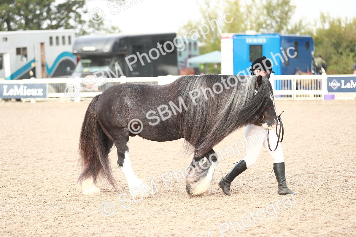 SBM_09492 - Class 201 Best Turned Out IH