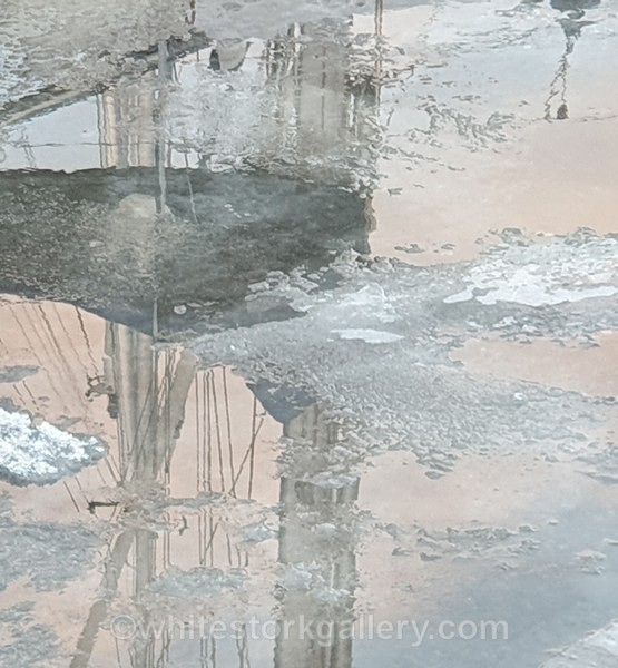  - NEW Winter Reflection