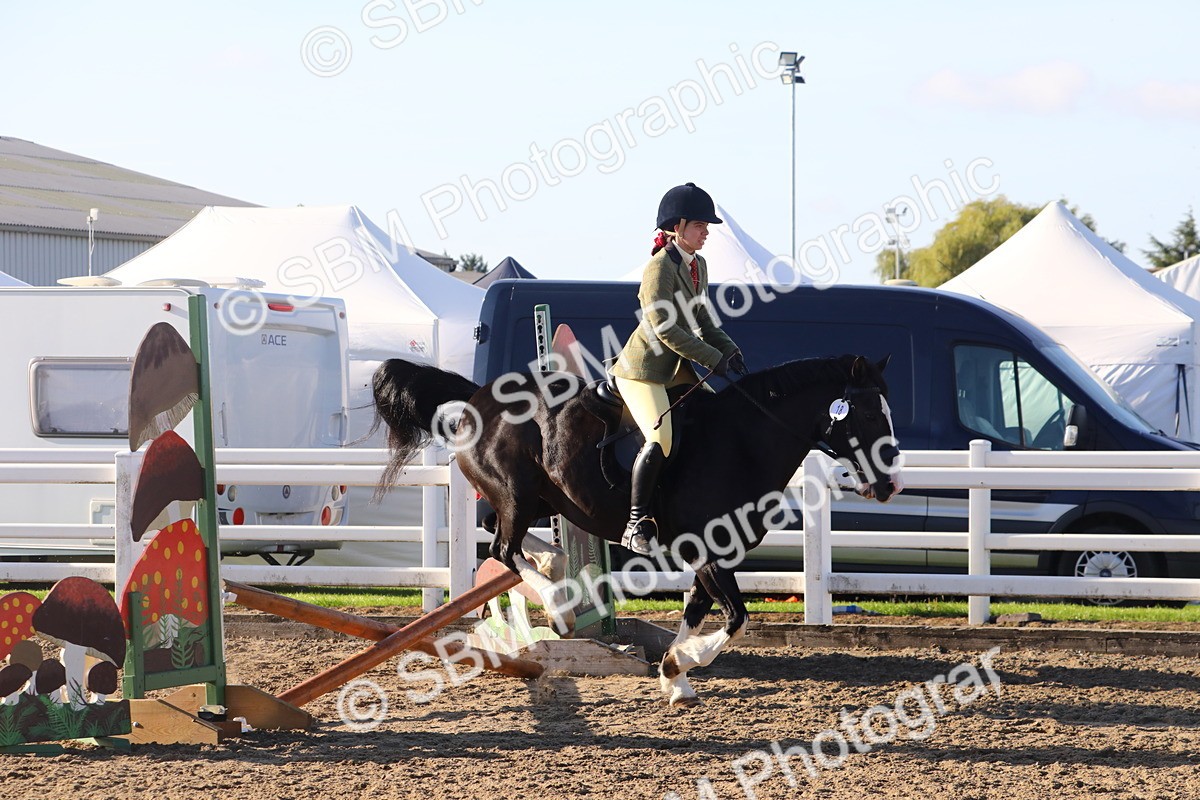 SBM_07901 - Class 501 - Riding Club Pony