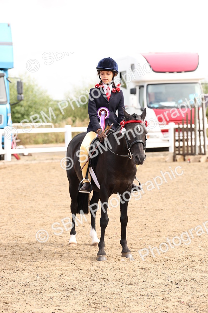SBM_04315 - Class 54 - Riding Club Horse/Pony