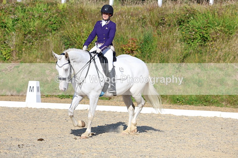 3E7A3526 - Class 2: Intro 1 2024 Section B