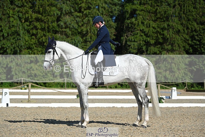 230526-170221-07483 - 259-KATE_BLUE-Millie_Juleff-WEDTrotUp+DR