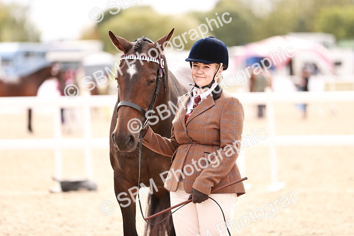 SBM_16319 - Class 413 - Best Condition - Adult