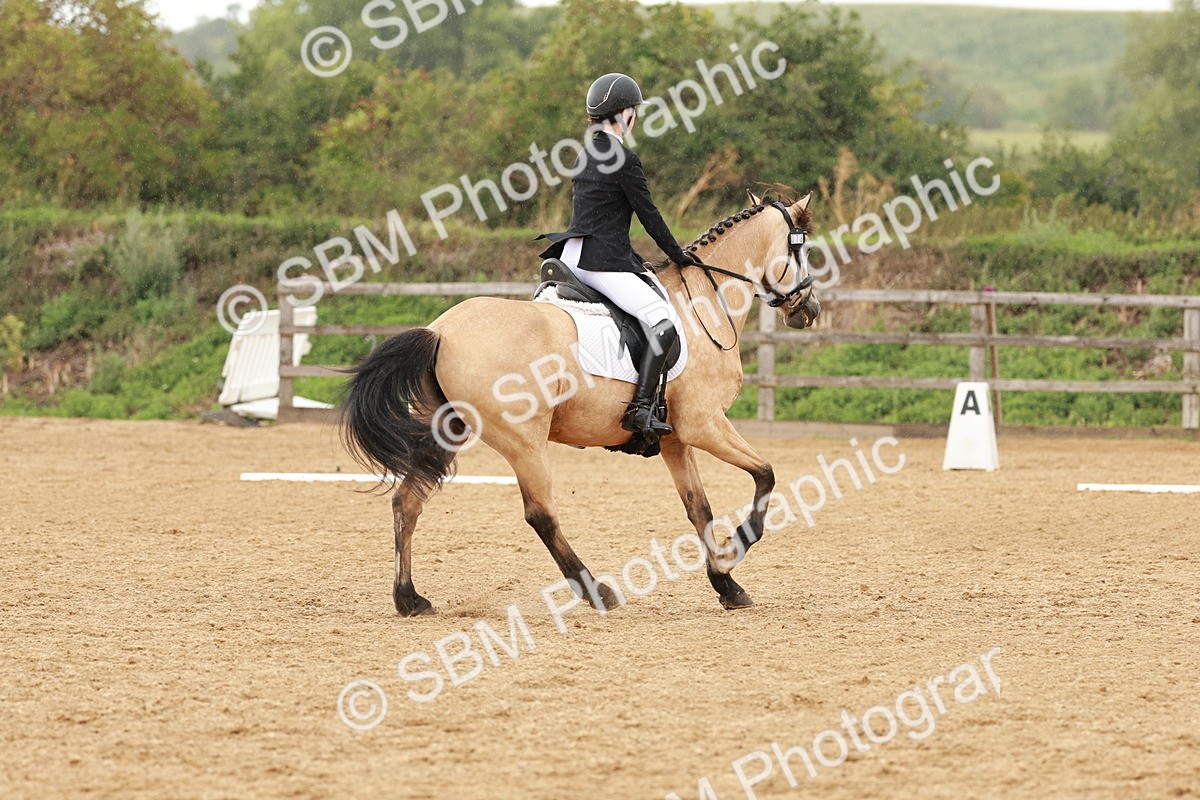 SBM_002871 - Novice 2
