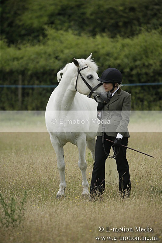 B230619-0387 - Bourne Valley Riding Club Summer Show 23/06/19