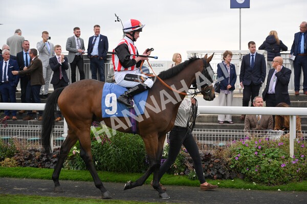 yr09102021r6-2 - Race 6 4.25pm Coral Best Odds Guaranteed Handicap