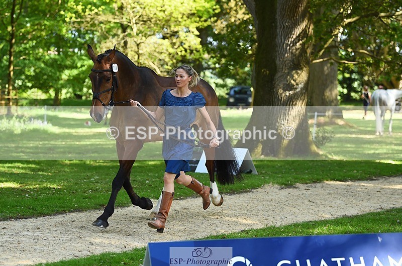 230524-161356-00777 - 256-ALS_RUSSIAN_ROLEX-Jemima_Howden-WEDTrotUp+DR