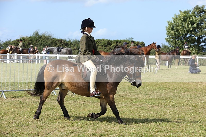 1X9A5645 - Class 39: NPS Dartmoor, Exmoor, Shetland