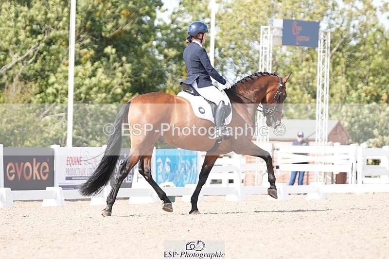 250906-144124-04042 - 050-Collette.WardJazz.XI