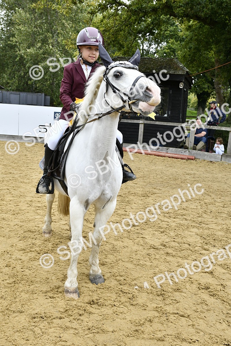 SBM_66200 - J2a mini Tour Junior Pony 30cm Championship