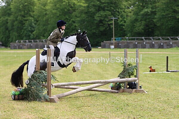 IMG_2903 - Working Hunter