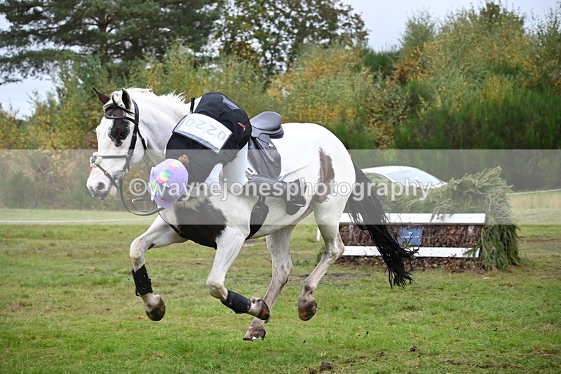 WJ6_3513 - 90cm Cam 1 Time 13:07 to 13:34