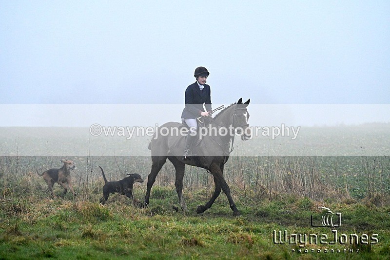 WJ7_3981 - Edited examples