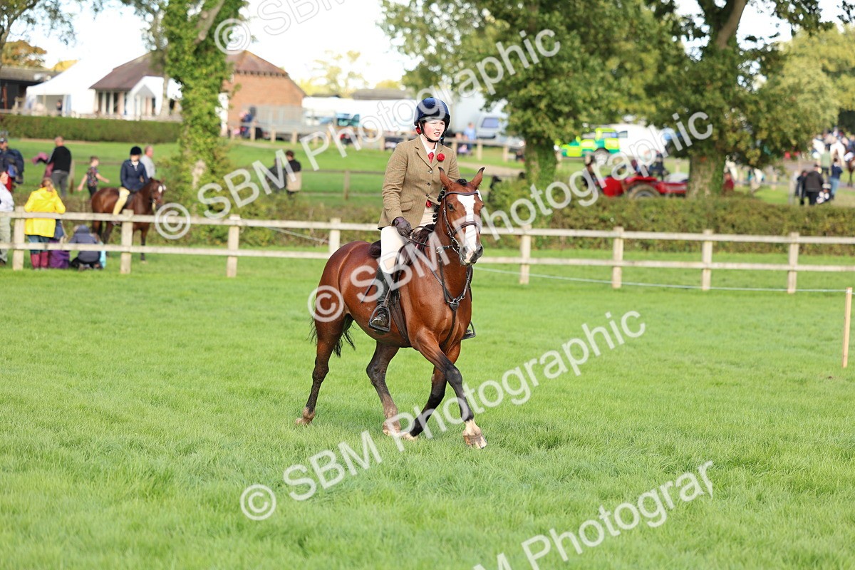 SBM_45501 - S33 - Working Hunter Pony