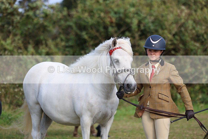 3E7A3222 - Class 12: M & M Small Breeds