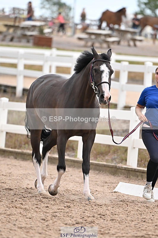 250716-145529-01510 - Trot Up 2.30 to 3.30