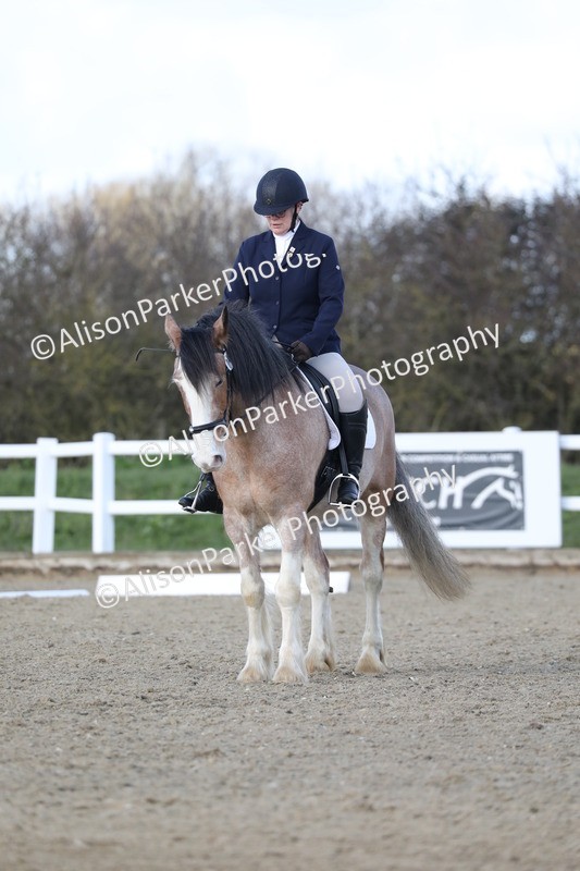 20260314-5016 - CT6 - Elementary 1