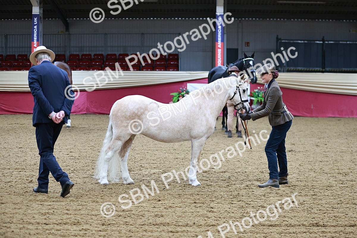 SBM_00207 - Class 1A - Area IH Diamond