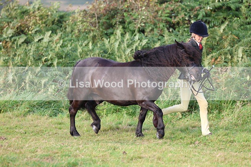 3E7A3130 - Class 12: M & M Small Breeds