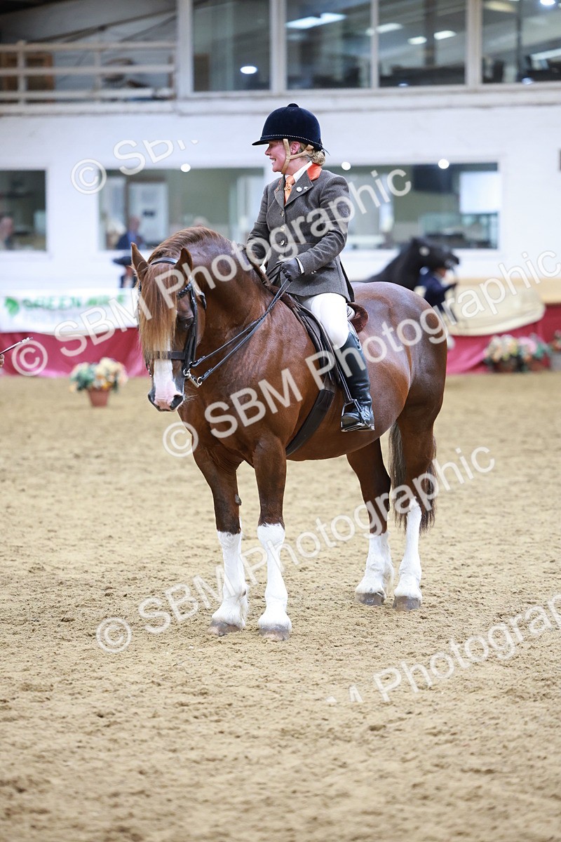 SBM_18821 - Class 952 - M&M Ridden Supreme Final