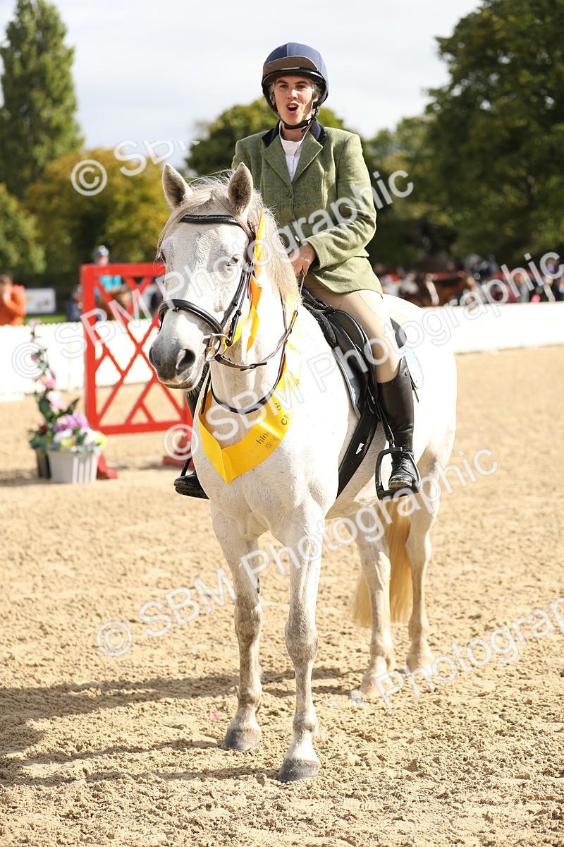 SBM_02046 - J34 - Veteran Rider 50cm