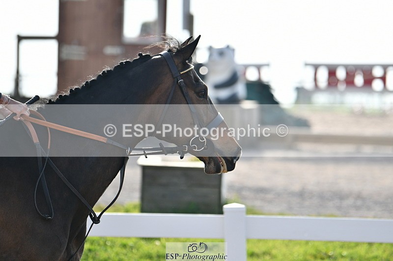 240511A-081629-10519 - Cls 27 85cm National Am Quali