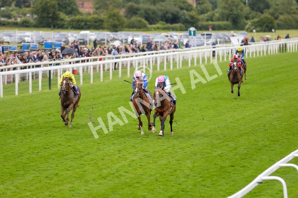 150624-Race 3-Klondike-6115 - Race 3 3.00pm Sky Bet Race To The Ebor Grand Cup Stakes