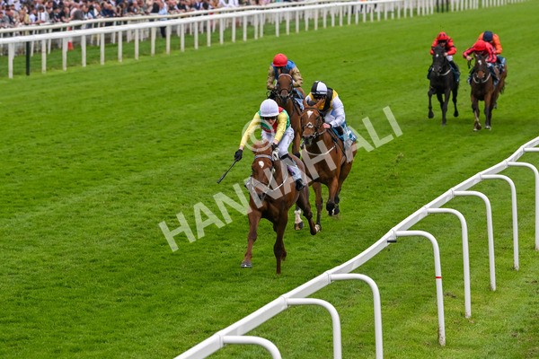 250524-Race 6-Primo Lara-4208 - Race 6 4.30pm Royal Yorkshire Regiment Handicap