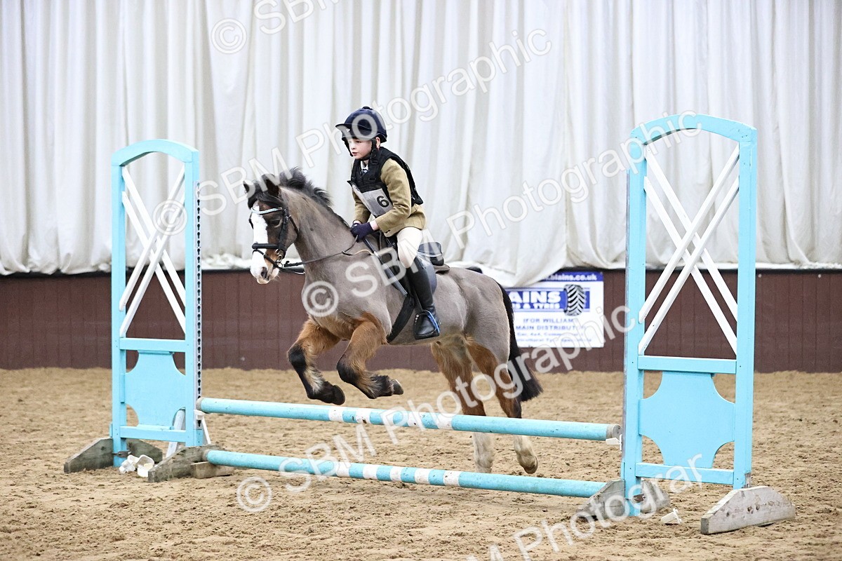 SBM_000593 - Class 2 - 50cm