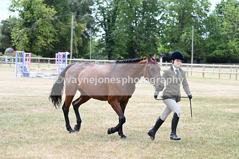 WJ7_1900 - Class 4a Prettiest Mare 14.2hh and over hand