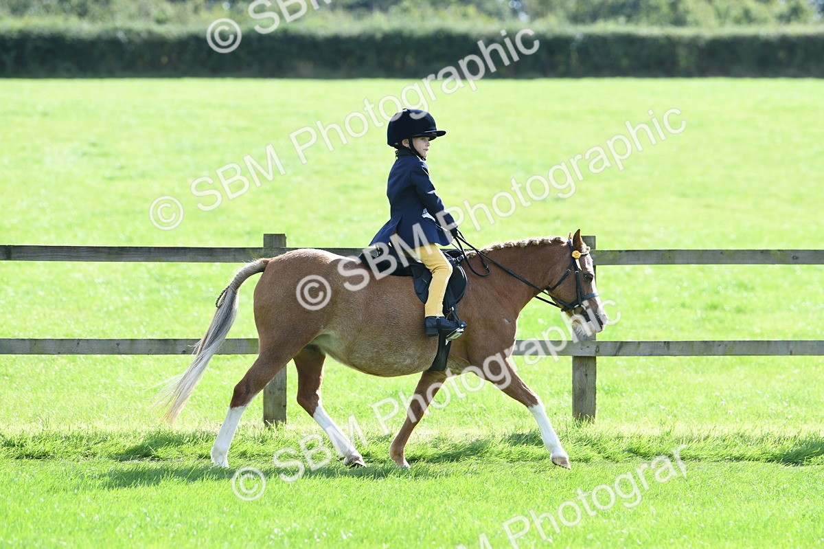 SBM_50266 - S21 - Novice & Newcomers 1st Ridden Pony
