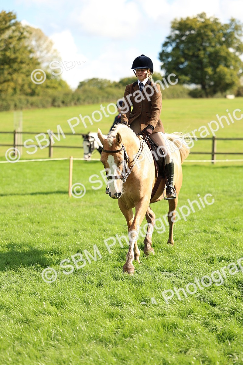SBM_50074 - S34 - Novice & Newcomers Working Hunter
